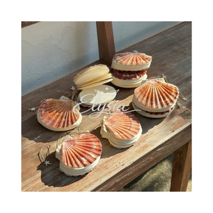 Handmade Shell <b>Notebook</b> Natural White Seashell Journal with Mother of Pearl Beach <b>Notebook</b> Coastal Writing Journal Gift - Product Image 5