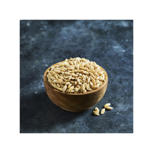Best Brand Barley Grain Alcohol <b>Beer</b> Production/ Purchase Barley Grain 25Kg Bags/Where To Buy Barley Grains - Product Image 6