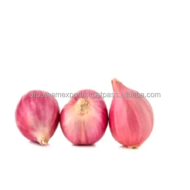 Scalogno indiano 25 Mm su cipolla scalogno rosso fresco cipolla rossa dal prezzo della cipolla dell'india In India
