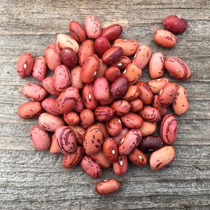 Kidney <b>Beans</b> Premium Whole Collection For Bulk Supply Featuring Fresh Quality And Excellent Grain - Product Image 3