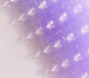 แผ่นแปะจุดด่างดำเกาหลี 20 มม. แบบ EZ Touch Deep 20 มม. ไมโครดาร์ท - Product Image 3