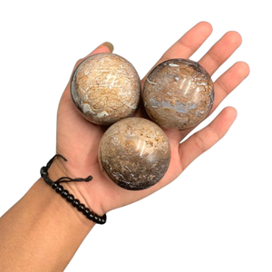 Esfera de Piedra Natural de Raíz de Palma de 3-5 cm, Bola de Cristal Decorativa Única para Decoración del Hogar - Product Image 6