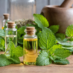 PREMIUM QUALITY PEPPERMINT <b>OIL</b> / ORGANIC NATURAL <b>ESSENTIAL</b> <b>OIL</b> FOR SPA AND PERSONAL CARE PRODUCTS/ MS. ALINA - Product Image 1
