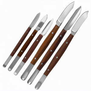 Juego de 6 Piezas de Instrumentos de Acero Inoxidable para Esculpir Cera, para Estudiantes de Odontología, Laboratorio, Fahnenstock, Lessmann, Con Scodelina - Product Image 1