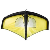 Planche à voile personnalisée Wing Surf gonflable Windsurf Sup Set Board Wingfoil