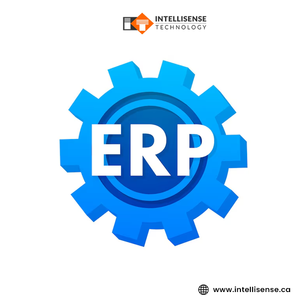 Solutions logicielles efficaces pour les entreprises via le développement d'applications logicielles d'entreprise personnalisées et les modèles SaaS, développement dynamique de logiciels CRM - Product Image 4