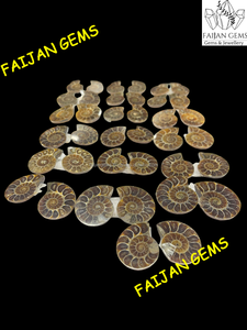 Ammonite Fossile Naturelle de Haute Qualité en Gros, Échantillon Minéral, Tranche Cabochon, Pierre de Bijoux Certifiée Authentique, Personnalisable - Product Image 2