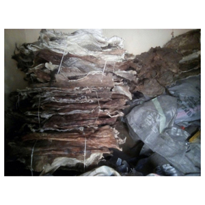 Peaux de vache salées séchées en vrac directement de l'abattoir pour les usines de tannerie - Product Image 4