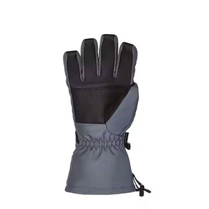 Skihandschuhe mit Eigenem Logo Geringe Mindestbestellmenge Private Label Hersteller Winterhandschuhe Schneller Versand Bedruckte Skihandschuhe nach Maß OEM ODM Fabrik - Product Image 3