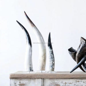 Cuerno de buey africano ecológico de alta calidad, cuerno de búfalo Real para boda, decoración de Navidad, innovador estilo siguiente India FWE - Product Image 1