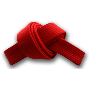 Kimono de Jiu-Jitsu Professionnel Unisexe pour Adultes – Durable, Respirant, Col et Poignets Robustes, Personnalisable – Ensembles de Gis BJJ - Product Image 4