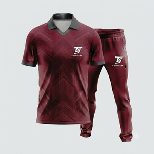 Vêtements de sport, uniforme de cricket en gros, impression de logo personnalisée 2025, nouveau design d'uniforme de cricket en couleurs personnalisées - Product Image 1