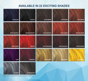 Tinte Japonés en Polvo Negro ShoHan - Product Image 5