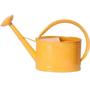 Arrosoir moderne en métal, arrosoir en acier inoxydable pour plantes - Product Image 4