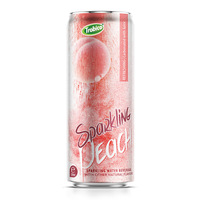 Trobico Mango Prebiotische Soda Sprankelende Drank 320ml Aluminiumblik