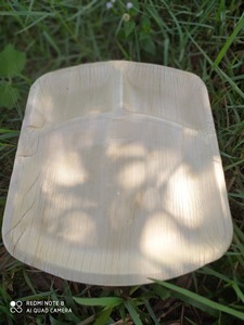 [HOT SELLING] | Bulk 10 Inch Palm Leaf <b>Disposable</b> Compostable Biodegradable Plates For Food Catering <b>BBQ</b> Party Vietnam - Product Image 4