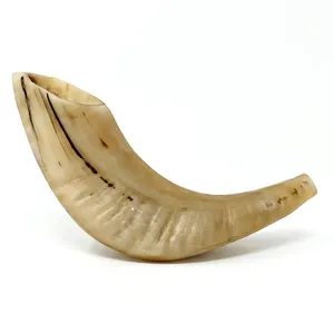 <b>Buffalo</b> <b>Horn</b> Natural Shape Polished Rustic Craft Home Decoration Animal Theme Durable Handmade <b>Horn</b> - Product Image 3