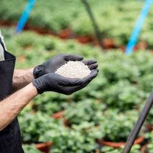 Fertilizante de Urea 46% Nitrógeno, Prilled de Liberación Rápida 46-0-0, Gránulos Blancos para Uso Agrícola - Product Image 2