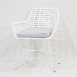 Fauteuil d'extérieur minimaliste et durable tendance - Chaise de bistrot en métal et plastique résistante aux intempéries pour villa et décoration moderne - Product Image 1