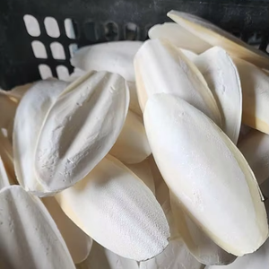 กระดูกปลาหมึกขาวพรีเมียมแบบทั้งตัว/ชิ้น ขนาด 4-5 ซม. สำหรับอาหารสัตว์ แคลเซียมสูง ผลิตในเวียดนาม จำหน่ายทั่วโลก - Product Image 1