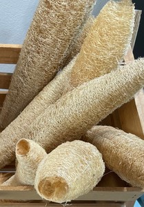 Éponge Loofah Écologique Sûre et Propre, Excellent Rapport Qualité-Prix, Tampon en Fibres Végétales Pures 2026, Idéal pour le Nettoyage de la Peau et de la Cuisine, Prix Direct - Product Image 5
