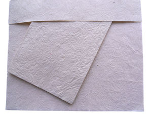 Papiers de Luxe Promotionnels Lokta Premium : 10 Blocs de Papier à Lettres A4 + 5 Enveloppes, Ensemble Complet - Product Image 2