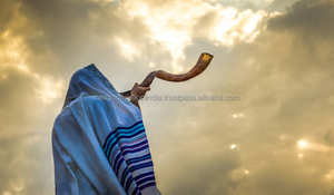 Cuerno de Shofar israelí Auténtico diseño hecho a mano con acabado medio pulido para ceremonias espirituales y coleccionistas - Product Image 2