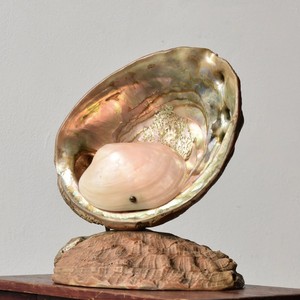 Lampe de table décorative en abalone, lampes en coquillages faites à la main, base en coquillages, lampe de style côtier à vendre - Product Image 1