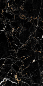 Vente directe d'usine : Carreaux de sol en granit super poli 600x1200mm pour salle de séminaire. - Product Image 2