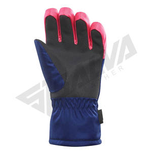 High Quality Waterproof Windproof Warm Breathable Ski Gloves Winter Riding Snowboarding Skiing Gloves for Men Women - Product Image 3