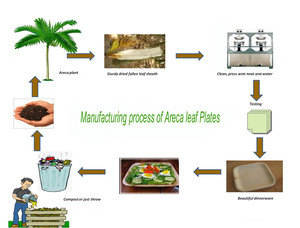 Tazón Desechable de Hoja de Palma Areca Cuadrado de 20 CM, Biodegradable y Ecológico, Apto para Microondas, para Camping - Product Image 2