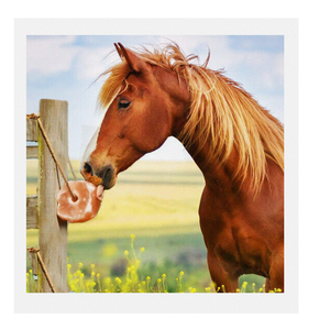 Sal del Himalaya Natural de Primera Calidad, Color Rosa Claro, en Forma Redonda, para Lamer, en Empaque Fresco y Seco, en Oferta para Caballos, Ganado y Perros - Product Image 3