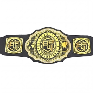 Ceinture de champion intercontinental neuve, en cuir de vache, boucle carrée en alliage, légère, écologique, en provenance du Pakistan - Product Image 1