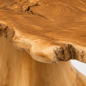 ARTERRA Luxury Handmade Eco-Friendly Easy Clean Durable Modern Teak Tree <b>Trunk</b> <b>Coffee</b> <b>Table</b> Organic Salvaged Root Living Room - Product Image 5