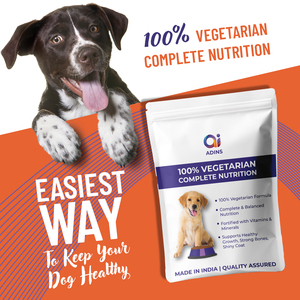 ODM Nourriture végétalienne équilibrée pour chiens avec lentilles pois chiches et patate douce 100% protéines végétales sans sous-produits animaux OEM disponible - Product Image 4