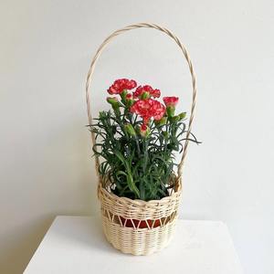 Accessoires pour bouquets de fleurs, panier rond en rotin avec longue poignée, paniers de rangement tressés - Product Image 5