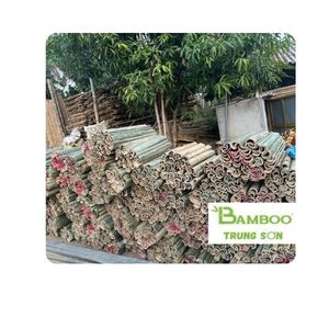 ไม้ไผ่แบ่งเป็นแผ่น [BAMBOO TRUNG SON] สินค้าขายดี ไม้ไผ่ทันสมัยขนาด 30 นิ้ว สำหรับทำว่าวและงานฝีมือ ใช้ในสวน - Product Image 1