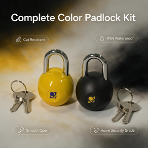 Premium Quality ONELUS 35R Safety Body Aluminium Single Lever Locking Padlock Laminated Finish Customized Color Key Unlock - Product Image 6