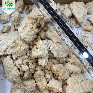 VIET THIEN PHU Pastel de Copra de Coco para Alimentación Animal, Alto en Proteínas, Origen Vietnam - Product Image 2