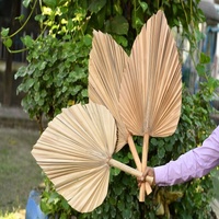 Feuilles de lances de palmier décoratives de haute qualité pour le mariage à la maison de différentes tailles pour les vacances Halloween Pâques Saint-Valentin