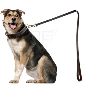 Ensemble collier et laisse pour chien en cuir solide réglable avec boucle en métal, anneau en D, poignée respirante et confortable pour la promenade - Product Image 5