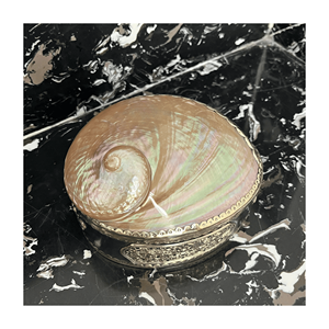 Iridescent <b>Shell</b> Jewelry Box made from genuine <b>shell</b> material and wood base for accessory storage and decor styling Vietnam - Product Image 3