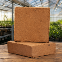 Blocs de compost de coco biodégradables de 5 kg, riches en nutriments, écologiques, exportateur d'Inde, sans tourbe, support de culture en vrac, fournisseur