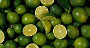 Citrons verts frais entiers, agrumes naturels de qualité supérieure pour la vente en gros et au détail - Product Image 2