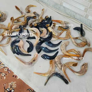 Shofar de cuerno de carnero pulido respetuoso con el medio ambiente hecho a mano | Ceremonias religiosas Prácticas espirituales | Celebraciones culturales del festival | - Product Image 3