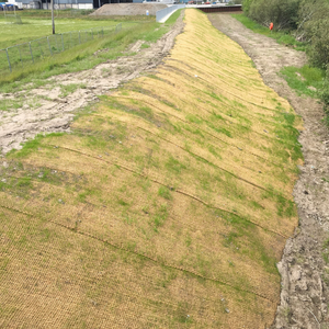 La fibre de coco a une structure durable qui absorbe l'eau/Mme Thao - Product Image 5