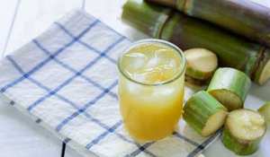 Caña de azúcar congelada para bebidas y postres | 100% Caña de azúcar natural al por mayor de Vietnam - Product Image 5