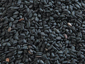 Achetez des graines de sésame noir, pureté de 99,95 %, naturelles, entières, qualité d'exportation, approvisionnement en vrac pour la transformation alimentaire et l'exportation - Product Image 2