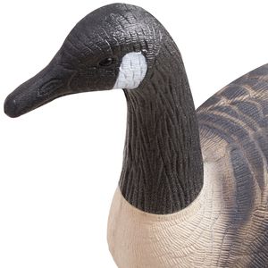 Señuelos de Ganso Canadiense, Flotadores de Plástico Duraderos para la Caza de Aves Acuáticas, Pintura Ultra Realista para Exteriores - Product Image 4