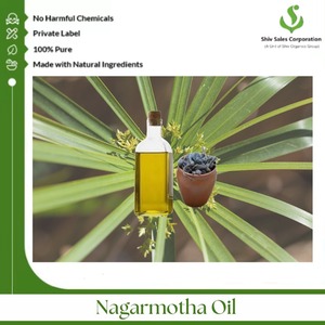 Aceite Esencial de Nagarmotha 100% Puro y Natural de Calidad Premium, Grado Industrial, Color Amarillo Oscuro, 1000 kg, de la India, Ampliamente Vendido al por Mayor - Product Image 4